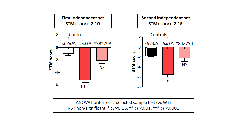 STM murine host model data for CNAG_02947T0