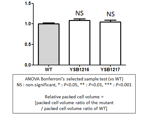 Capsule phenotype for CNAG_03024T0