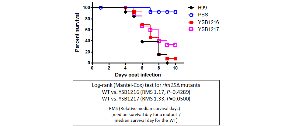 Galleria mellonella virulence data for CNAG_03024T0