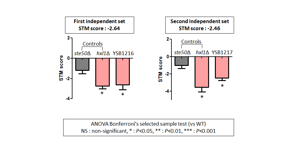 STM murine host model data for CNAG_03024T0