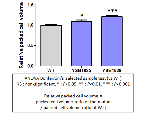 Capsule phenotype for CNAG_03167T0