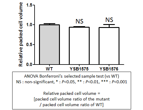 Capsule phenotype for CNAG_03216T0