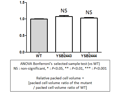 Capsule phenotype for CNAG_03258T2