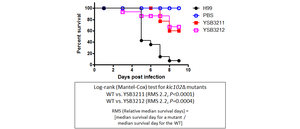 Galleria mellonella virulence data for CNAG_03290T0