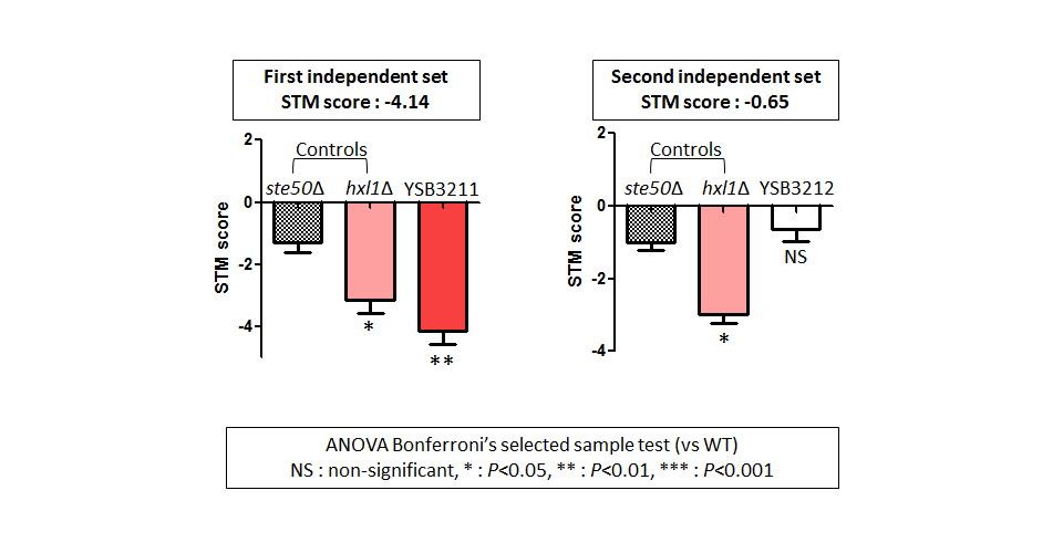 STM murine host model data for CNAG_03290T0