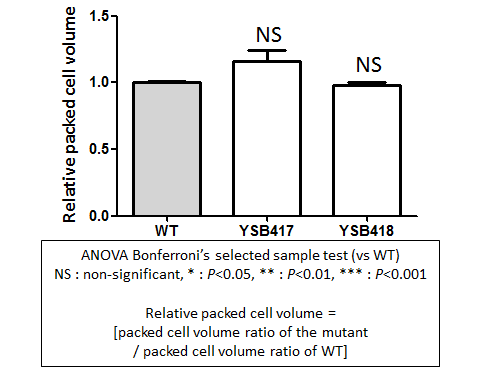 Capsule phenotype for CNAG_03355T0