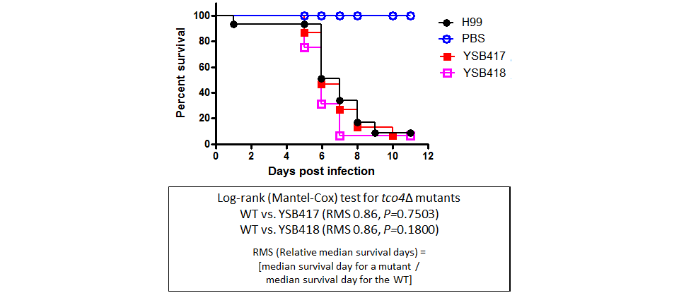 Galleria mellonella virulence data for CNAG_03355T0