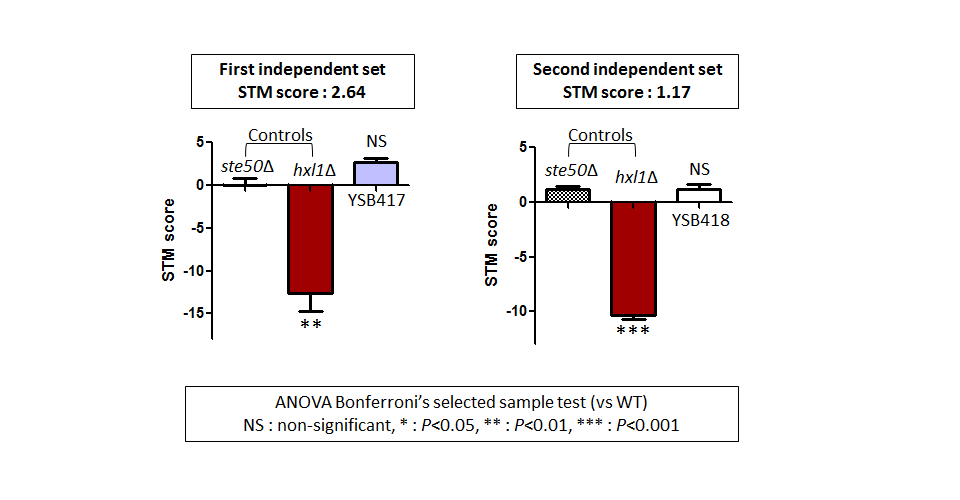 STM murine host model data for CNAG_03355T0
