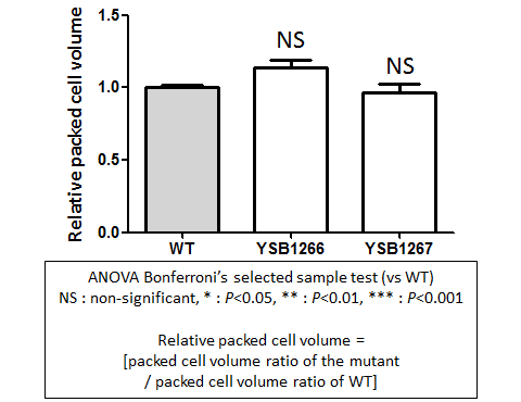 Capsule phenotype for CNAG_03367T0