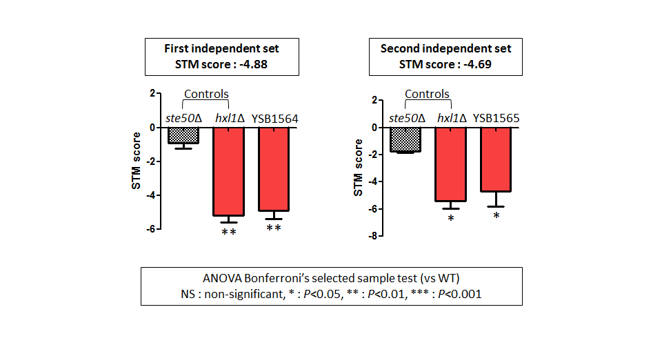 STM murine host model data for CNAG_03369T0