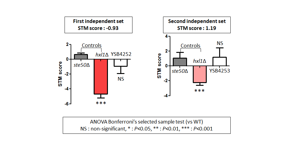 STM murine host model data for CNAG_03796T0