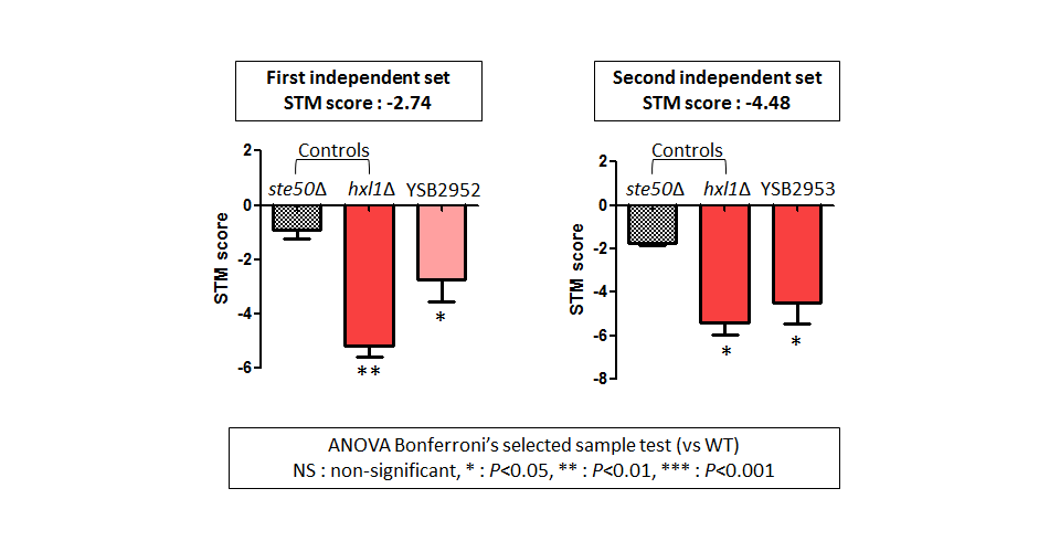 STM murine host model data for CNAG_03811T0