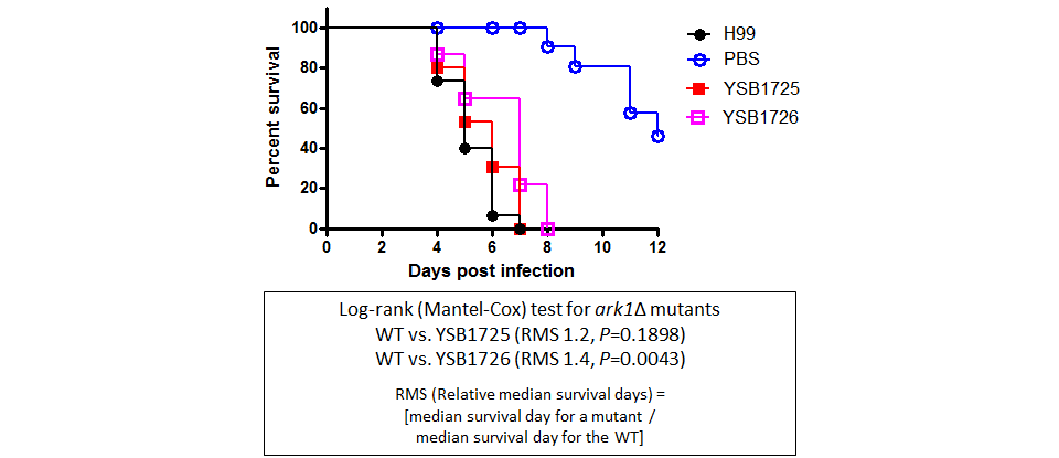 Galleria mellonella virulence data for CNAG_03843T0