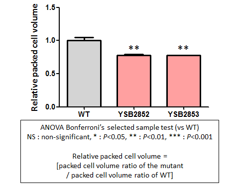 Capsule phenotype for CNAG_03946T1
