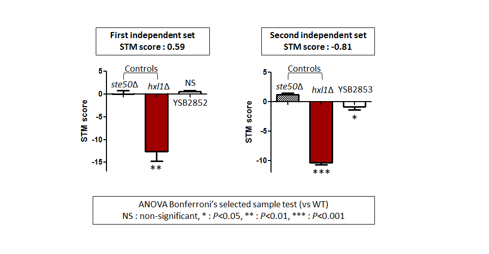 STM murine host model data for CNAG_03946T1