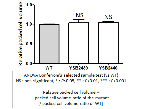 Capsule phenotype for CNAG_04108T0