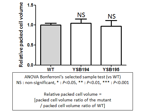 Capsule phenotype for CNAG_04162T0