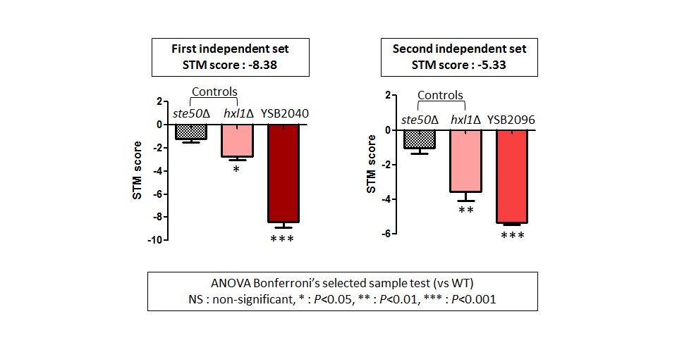 STM murine host model data for CNAG_04197T0