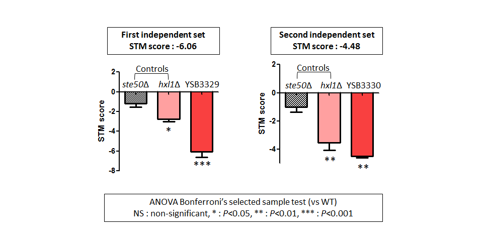 STM murine host model data for CNAG_04215T0