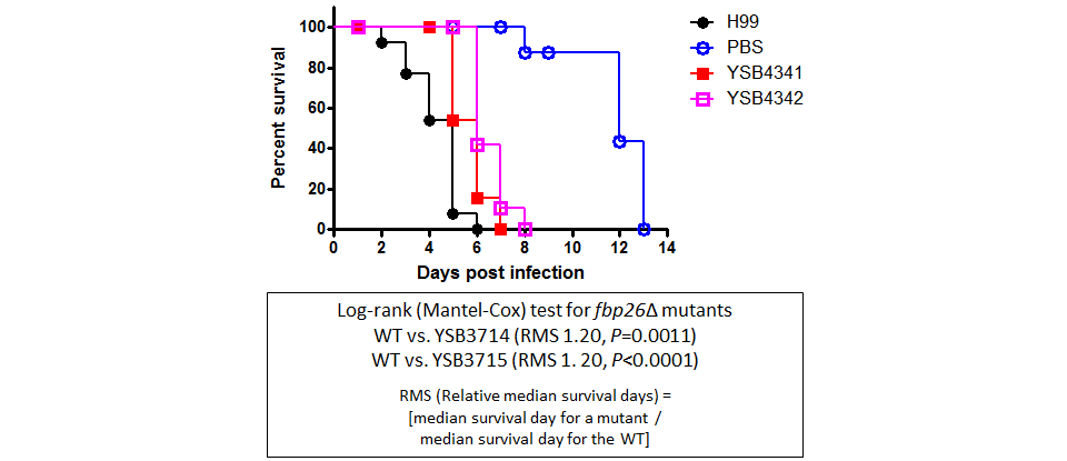 Galleria mellonella virulence data for CNAG_04221T0