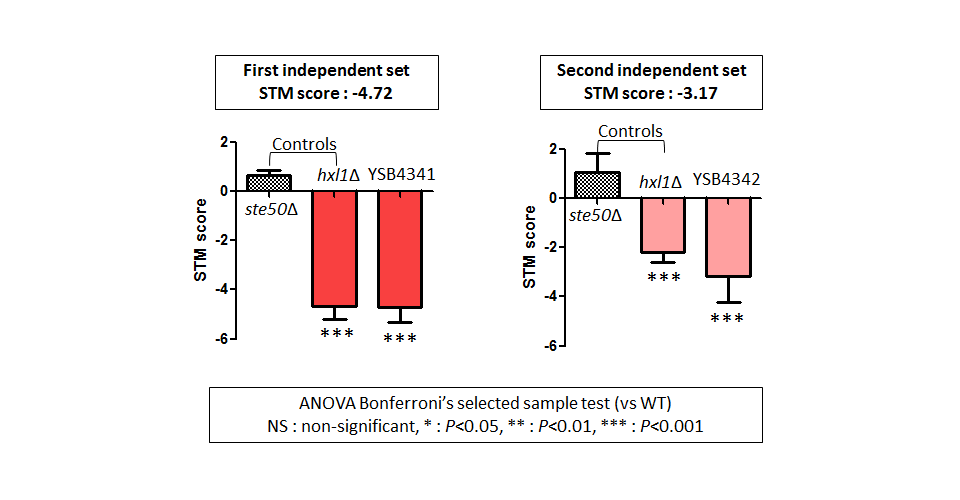 STM murine host model data for CNAG_04221T0