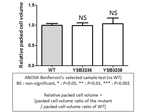 Capsule phenotype for CNAG_04282T0