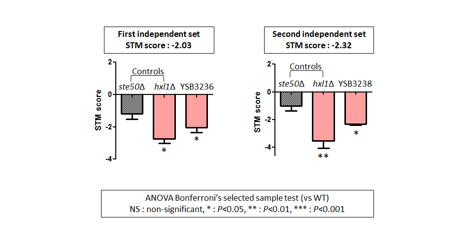 STM murine host model data for CNAG_04282T0
