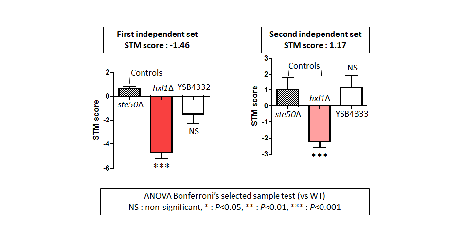 STM murine host model data for CNAG_04314T0
