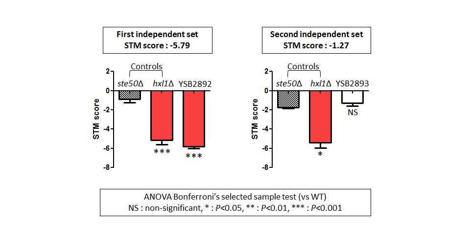 STM murine host model data for CNAG_04316T0