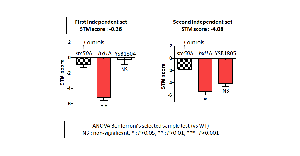 STM murine host model data for CNAG_04408T0
