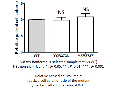 Capsule phenotype for CNAG_04433T0
