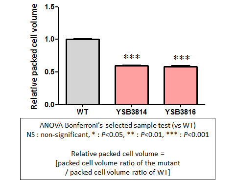 Capsule phenotype for CNAG_04514T0