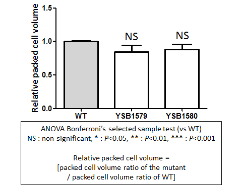 Capsule phenotype for CNAG_04631T0