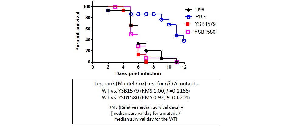 Galleria mellonella virulence data for CNAG_04631T0