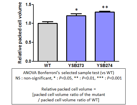 Capsule phenotype for CNAG_04755T0