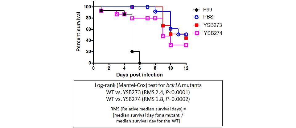 Galleria mellonella virulence data for CNAG_04755T0