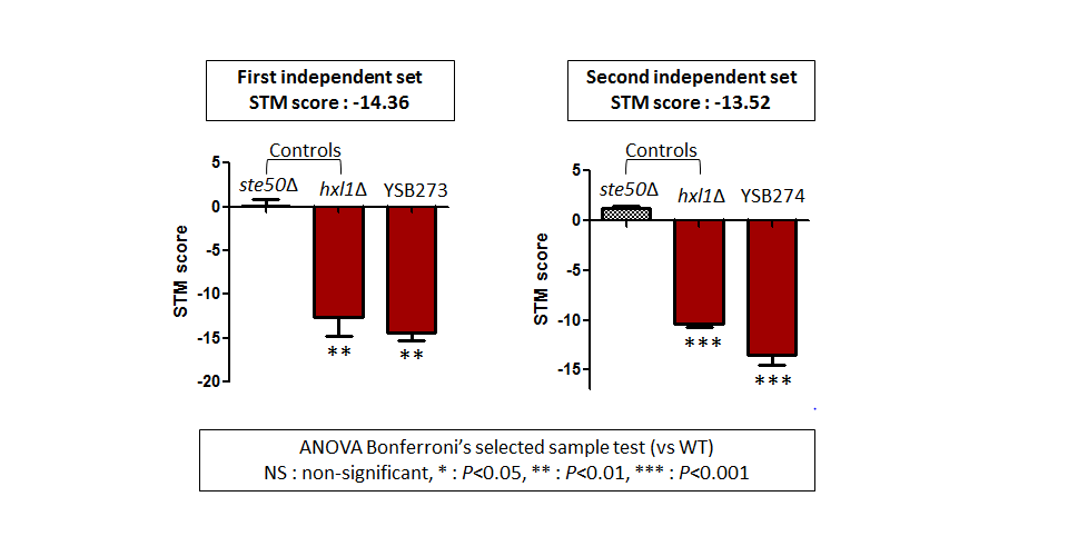 STM murine host model data for CNAG_04755T0