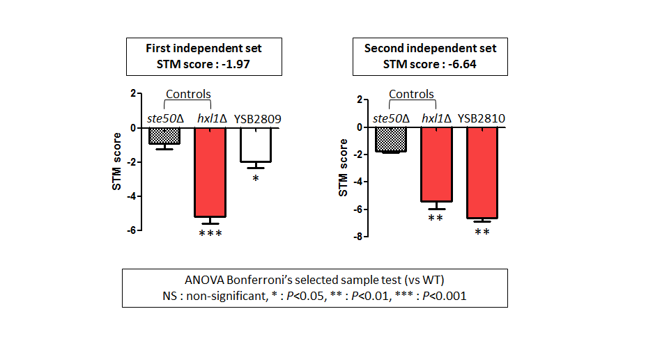 STM murine host model data for CNAG_04821T0