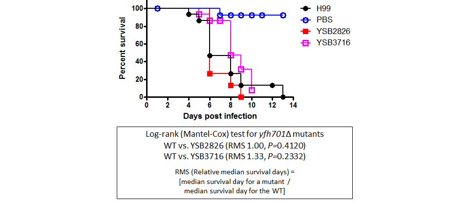 Galleria mellonella virulence data for CNAG_04927T0
