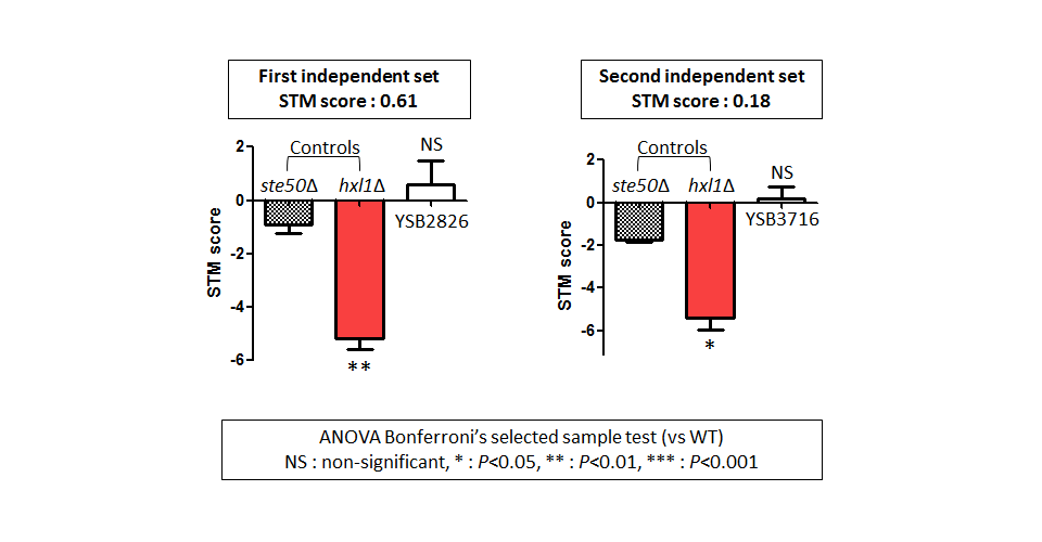 STM murine host model data for CNAG_04927T0