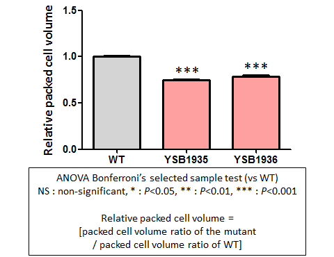 Capsule phenotype for CNAG_05005T0