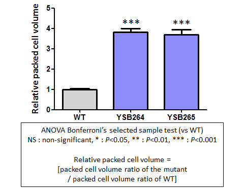 Capsule phenotype for CNAG_05063T0