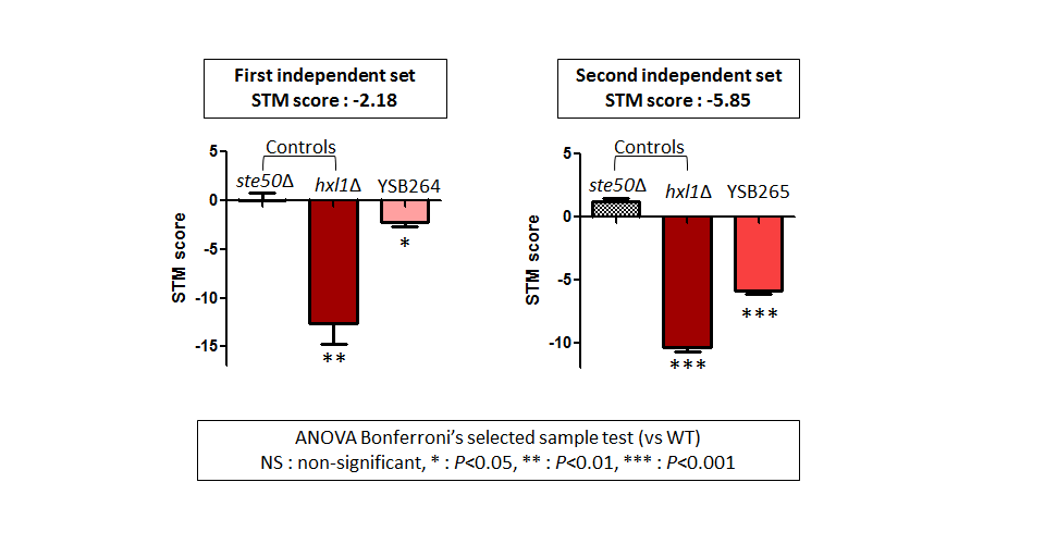STM murine host model data for CNAG_05063T0