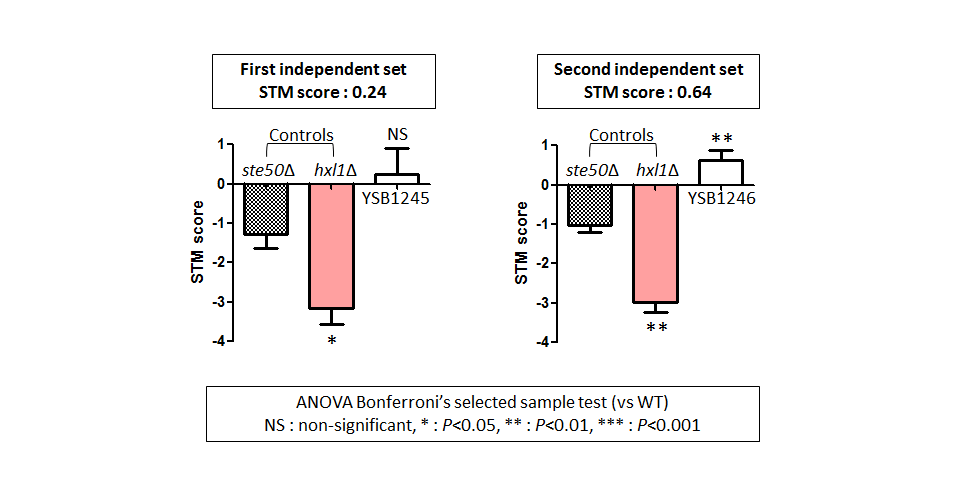 STM murine host model data for CNAG_05097T0
