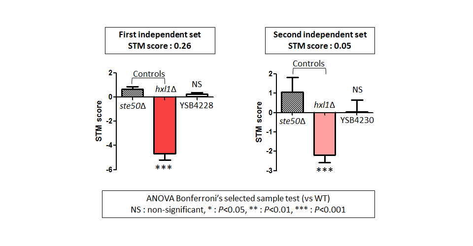STM murine host model data for CNAG_05104T0