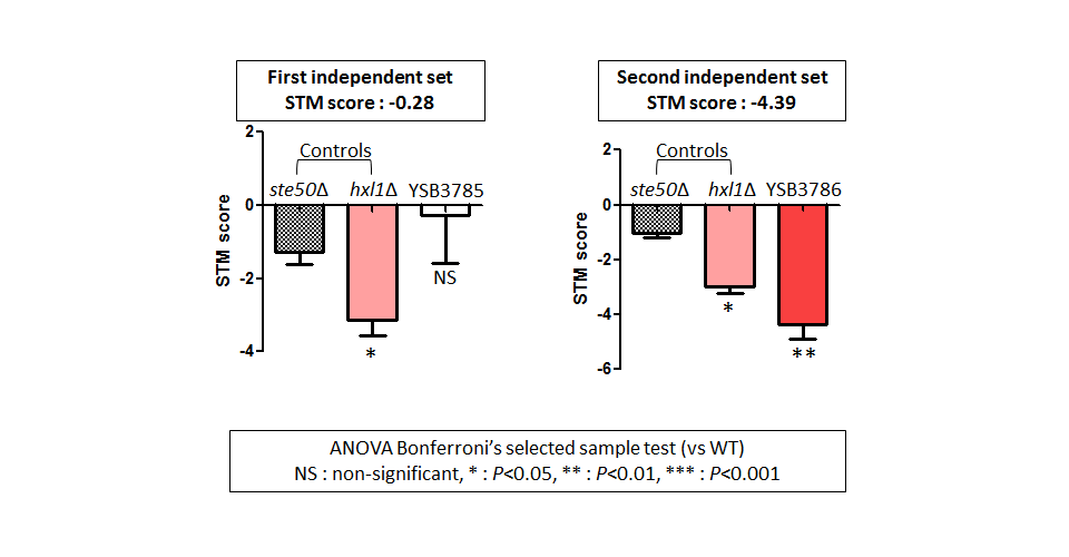 STM murine host model data for CNAG_05216T0