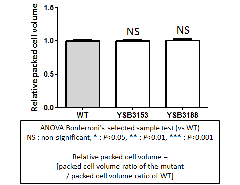 Capsule phenotype for CNAG_05220T0