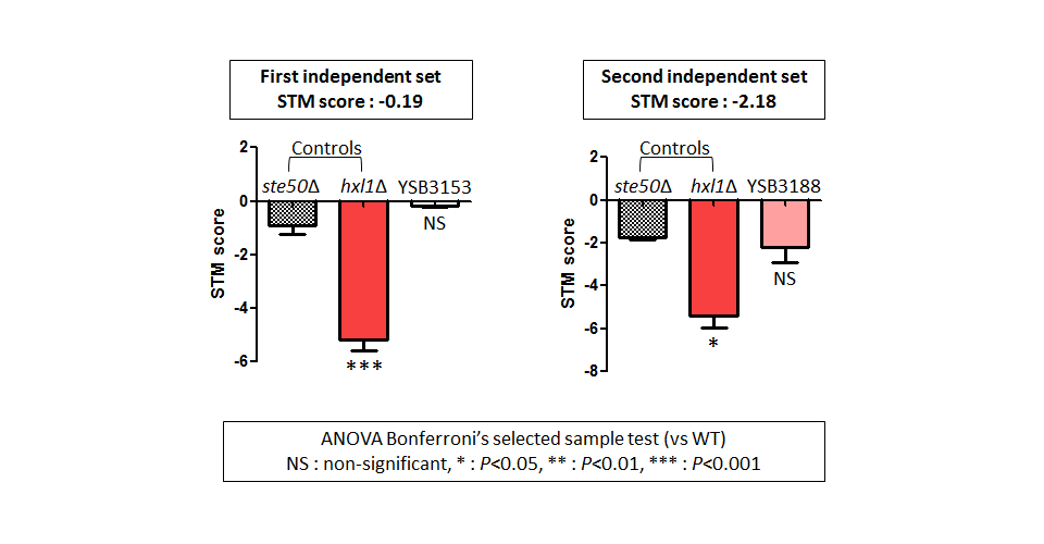 STM murine host model data for CNAG_05220T0