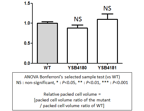 Capsule phenotype for CNAG_05243T0
