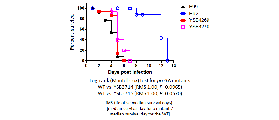 Galleria mellonella virulence data for CNAG_05386T0